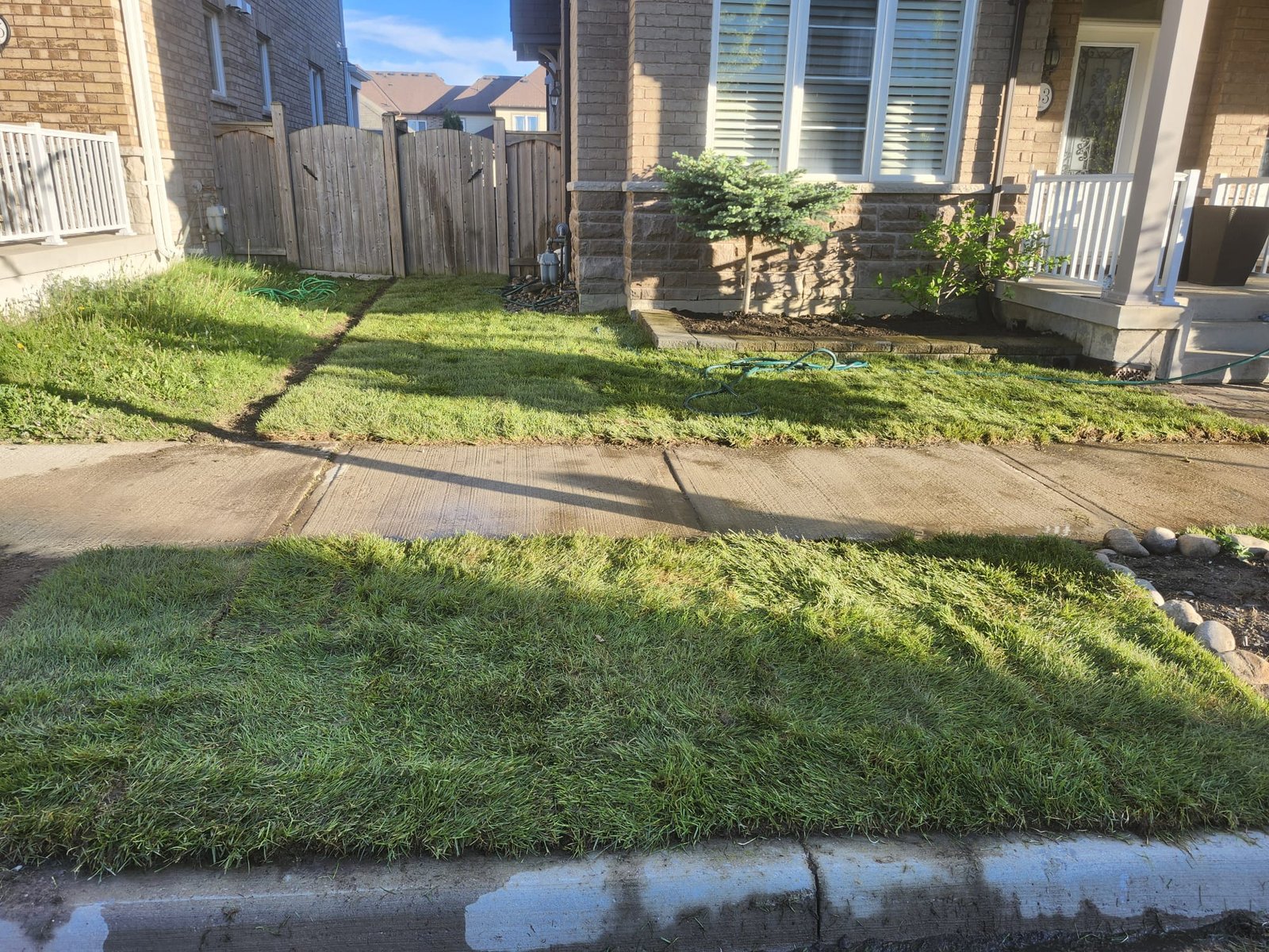 Fresh sod lawn