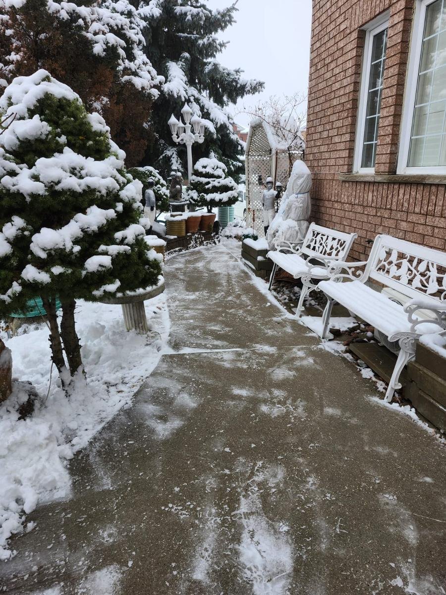 Garden walkway cleared of snow